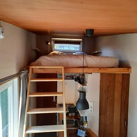 Tiny House With Garden